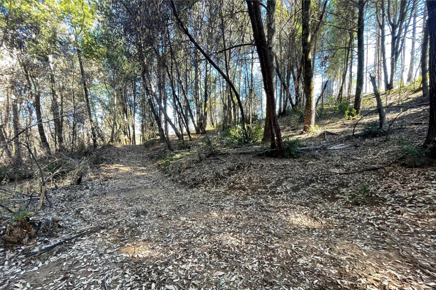 Panorama Drive, Berry Creek, California image 15