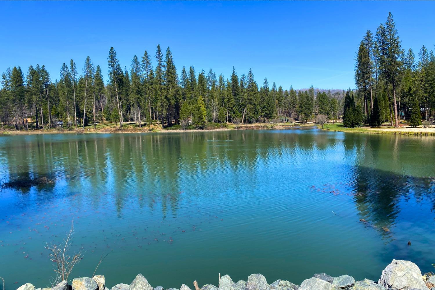 Panorama Drive, Berry Creek, California image 37