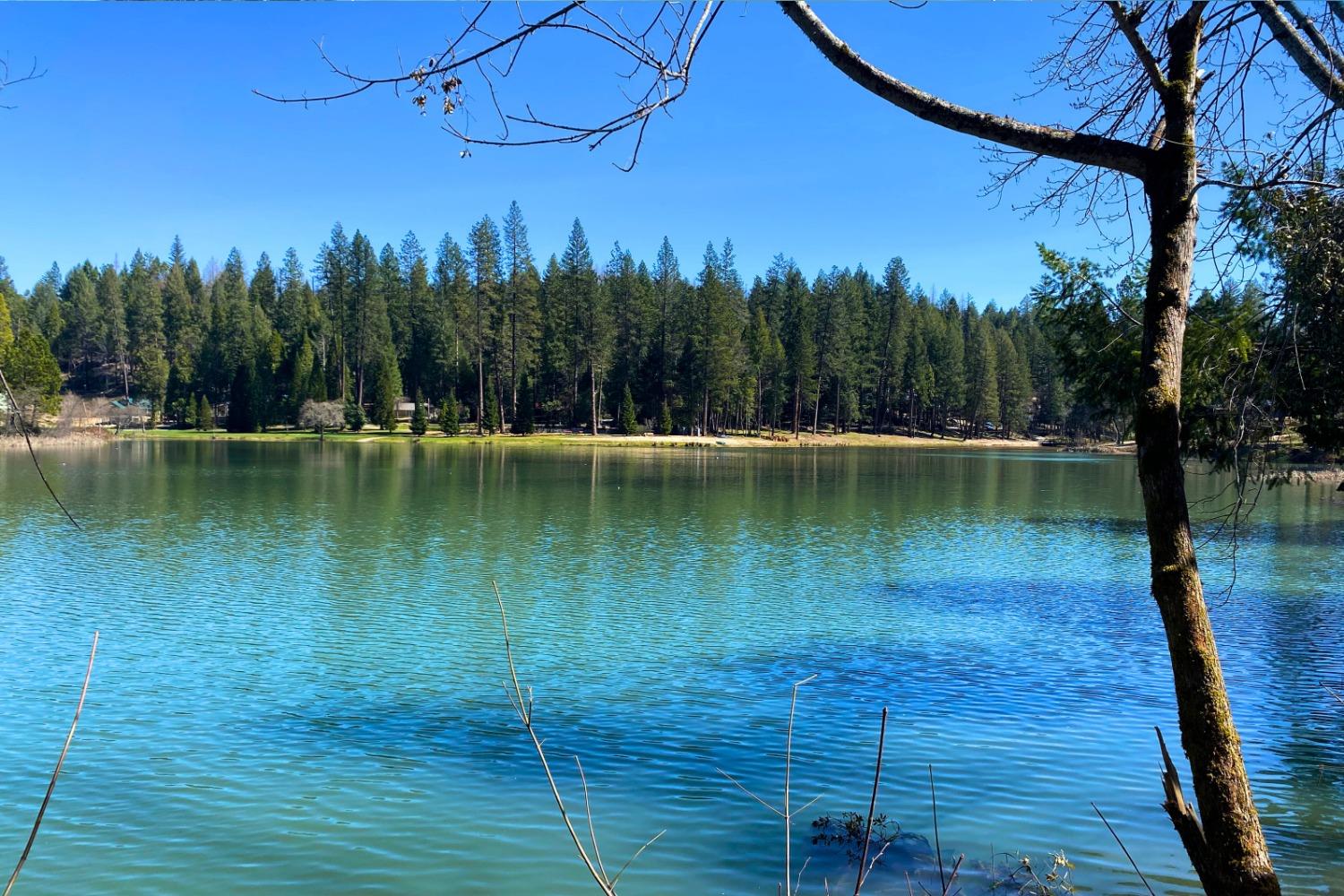 Panorama Drive, Berry Creek, California image 42
