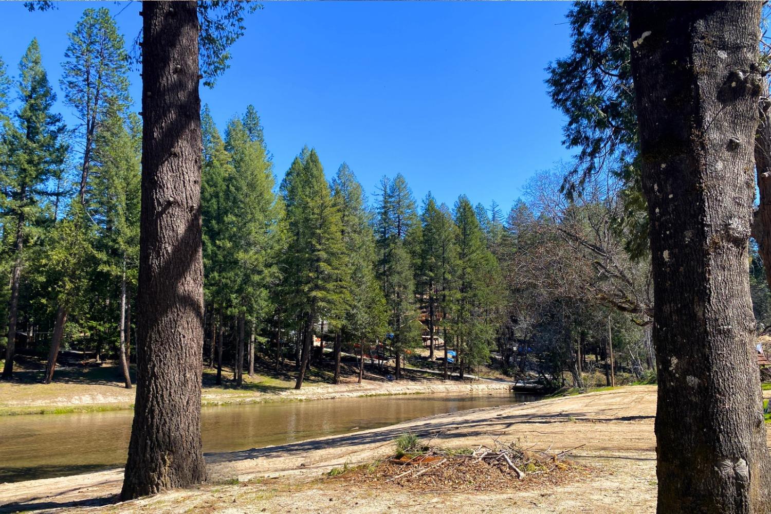 Panorama Drive, Berry Creek, California image 30