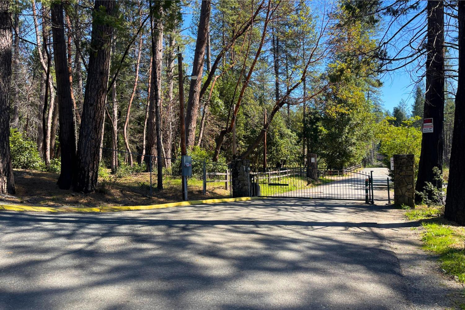 Panorama Drive, Berry Creek, California image 22
