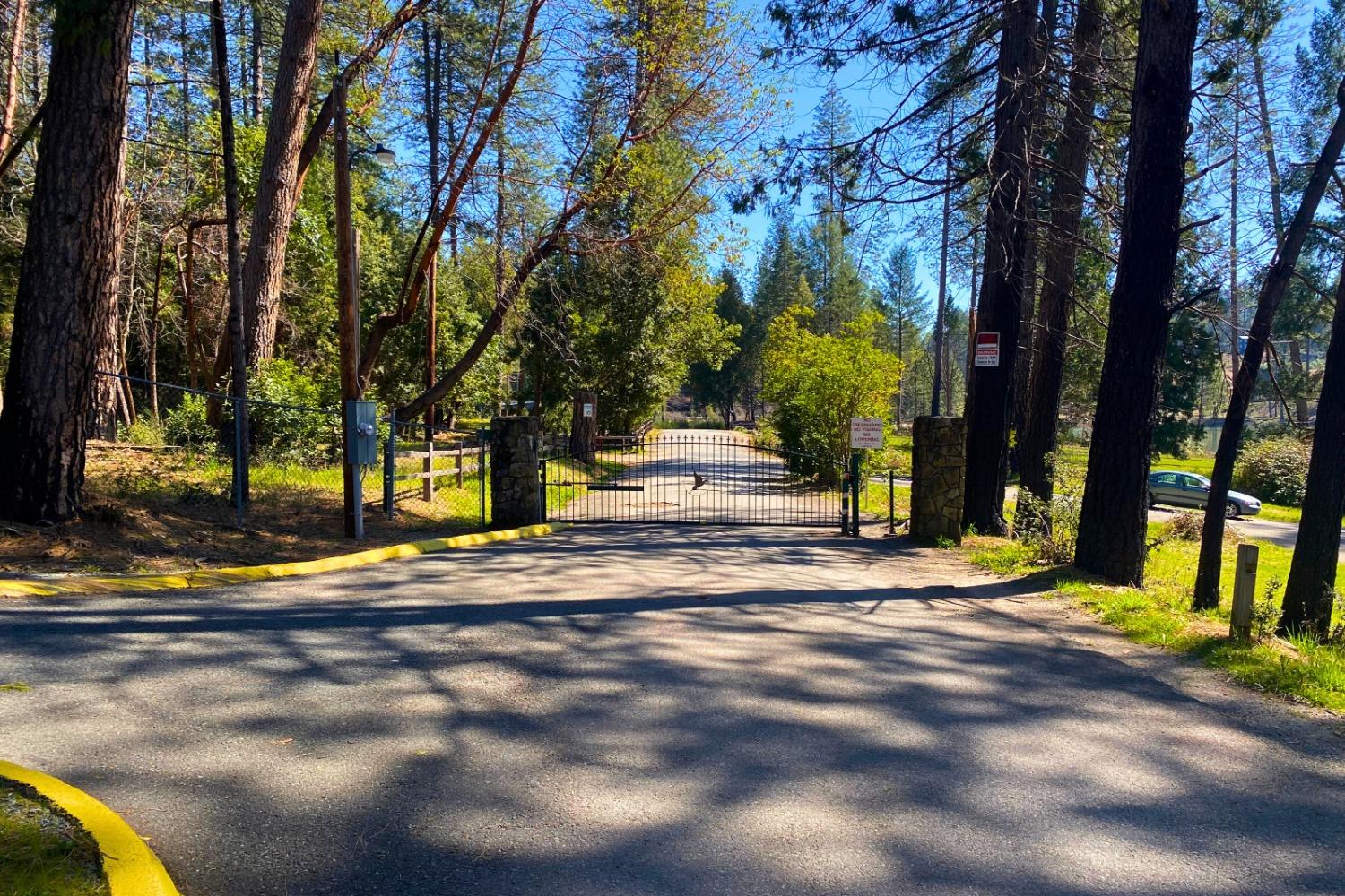 Panorama Drive, Berry Creek, California image 27