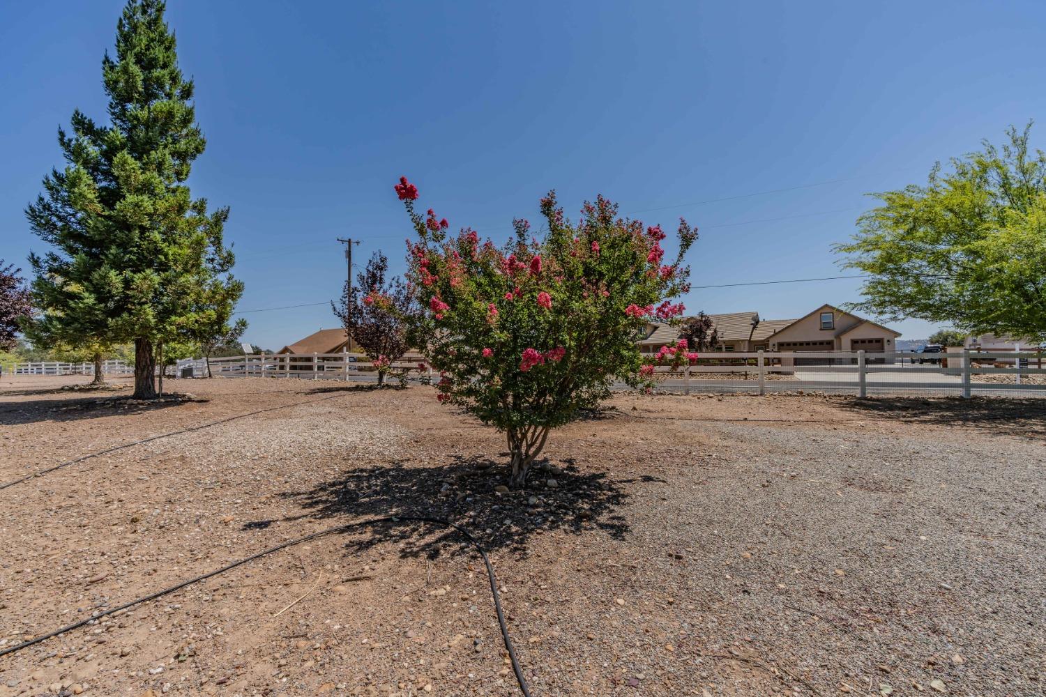 Detail Gallery Image 95 of 95 For 3178 Crestview Dr, Valley Springs,  CA 95252 - 4 Beds | 2/1 Baths