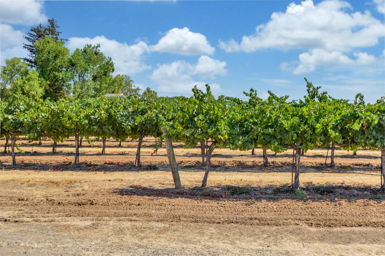 Detail Gallery Image 21 of 89 For 19268 Atkins Rd, Lodi,  CA 95240 - 1 Beds | 1/1 Baths