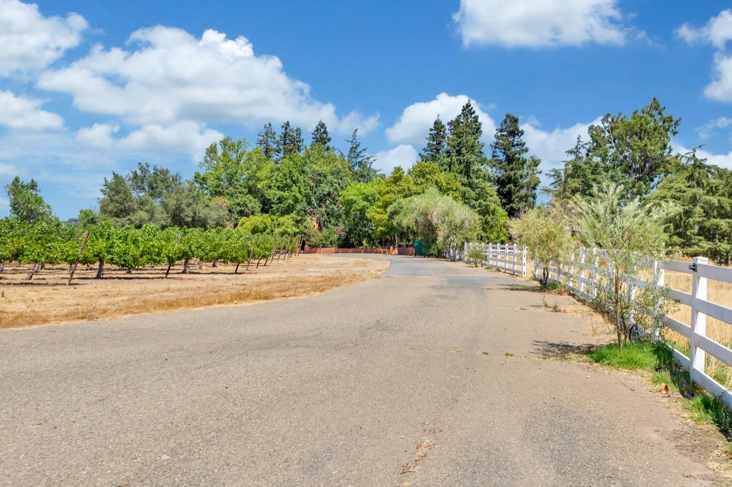 Detail Gallery Image 15 of 89 For 19268 Atkins Rd, Lodi,  CA 95240 - 1 Beds | 1/1 Baths