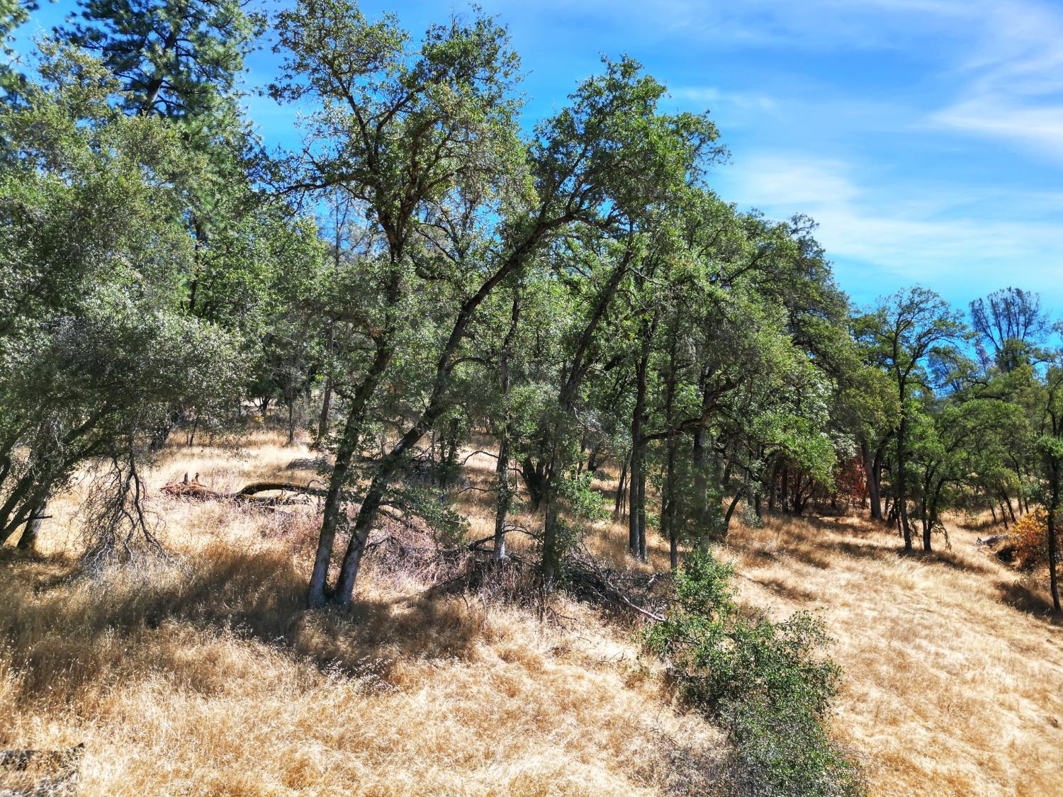 Detail Gallery Image 53 of 97 For 16967 Brewer Rd, Grass Valley,  CA 95949 - 3 Beds | 2/1 Baths