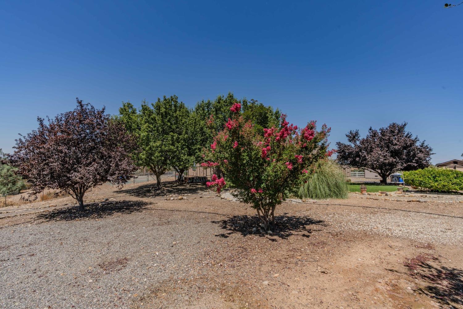 Detail Gallery Image 11 of 95 For 3178 Crestview Dr, Valley Springs,  CA 95252 - 4 Beds | 2/1 Baths