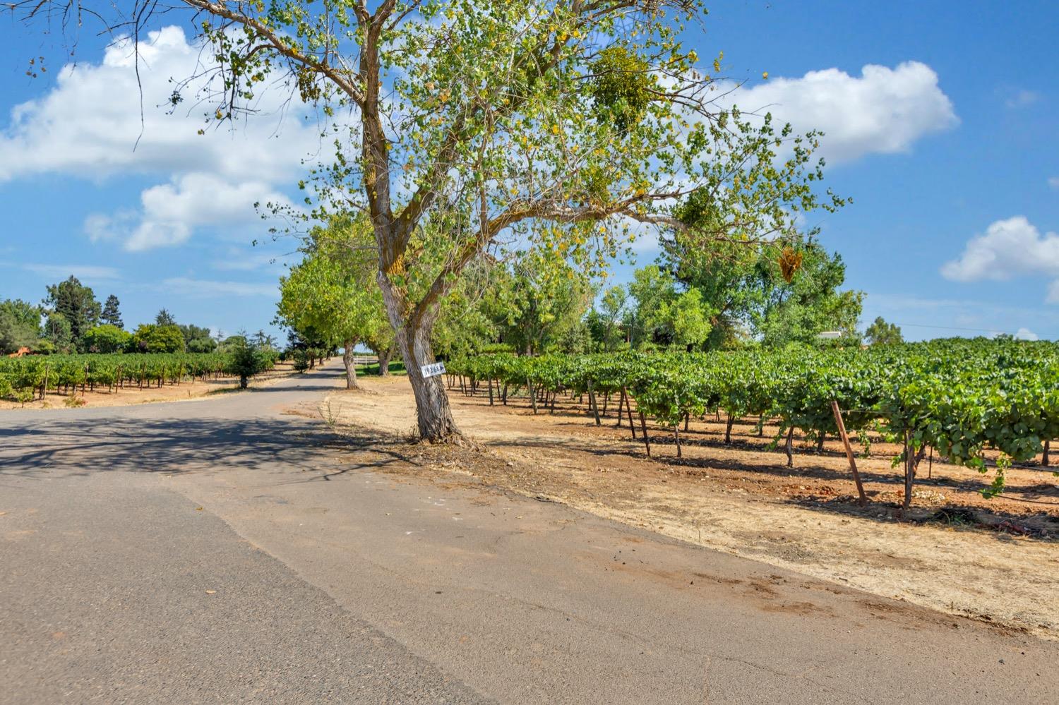 Detail Gallery Image 71 of 89 For 19268 Atkins Rd, Lodi,  CA 95240 - 1 Beds | 1/1 Baths