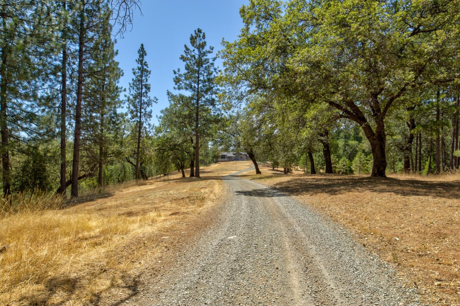 Detail Gallery Image 53 of 99 For 7401 Schaad Rd, Wilseyville,  CA 95257 - 2 Beds | 2 Baths