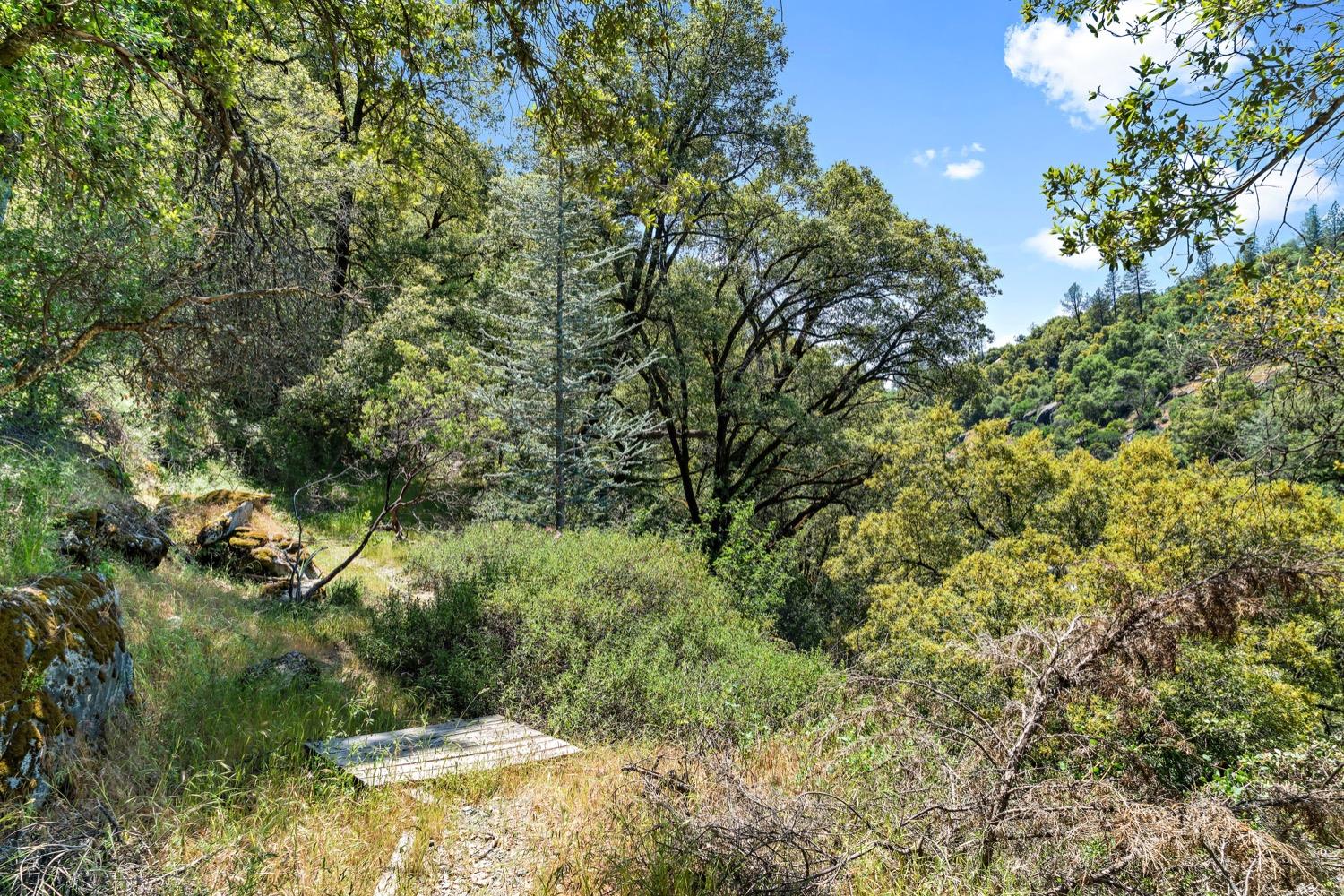 Detail Gallery Image 49 of 54 For 5650 Bucks Bar Rd, Placerville,  CA 95667 - 3 Beds | 2/1 Baths