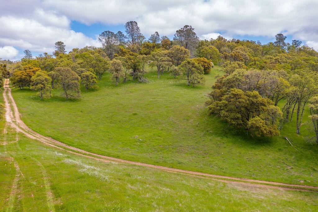 Sunset Drive, Sutter Creek, California image 1