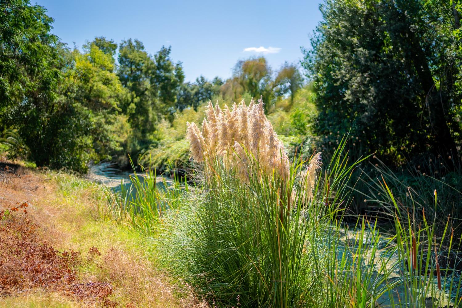 Detail Gallery Image 33 of 35 For 2418 W Swain Rd, Stockton,  CA 95207 - 3 Beds | 2 Baths