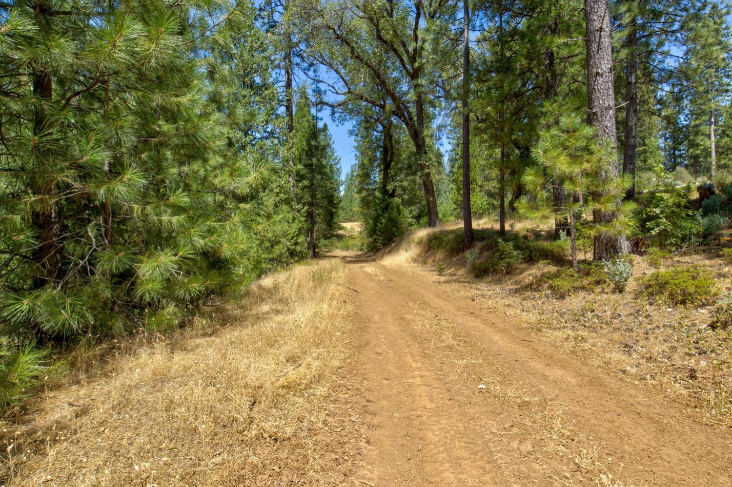 Detail Gallery Image 75 of 99 For 7401 Schaad Rd, Wilseyville,  CA 95257 - 2 Beds | 2 Baths