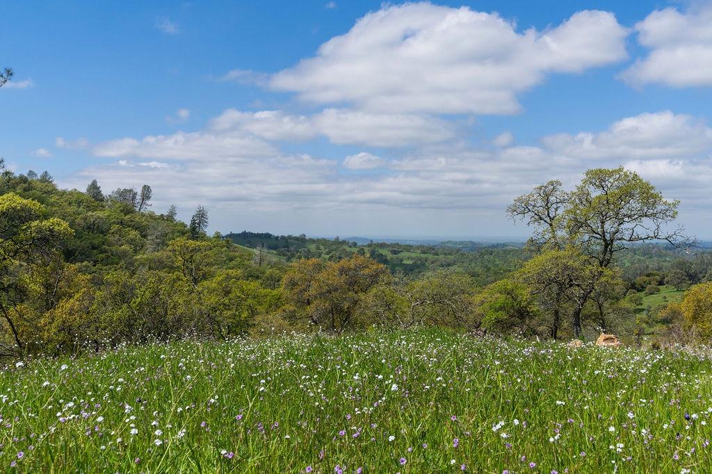 Detail Gallery Image 5 of 27 For 10865 Sunset Dr, Sutter Creek,  CA 95685 - – Beds | – Baths