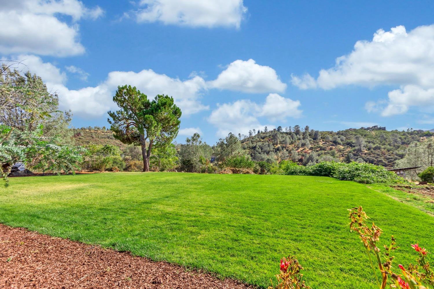 Detail Gallery Image 66 of 81 For 1745 Dorado Ridge Trail, El Dorado Hills,  CA 95762 - 4 Beds | 5 Baths