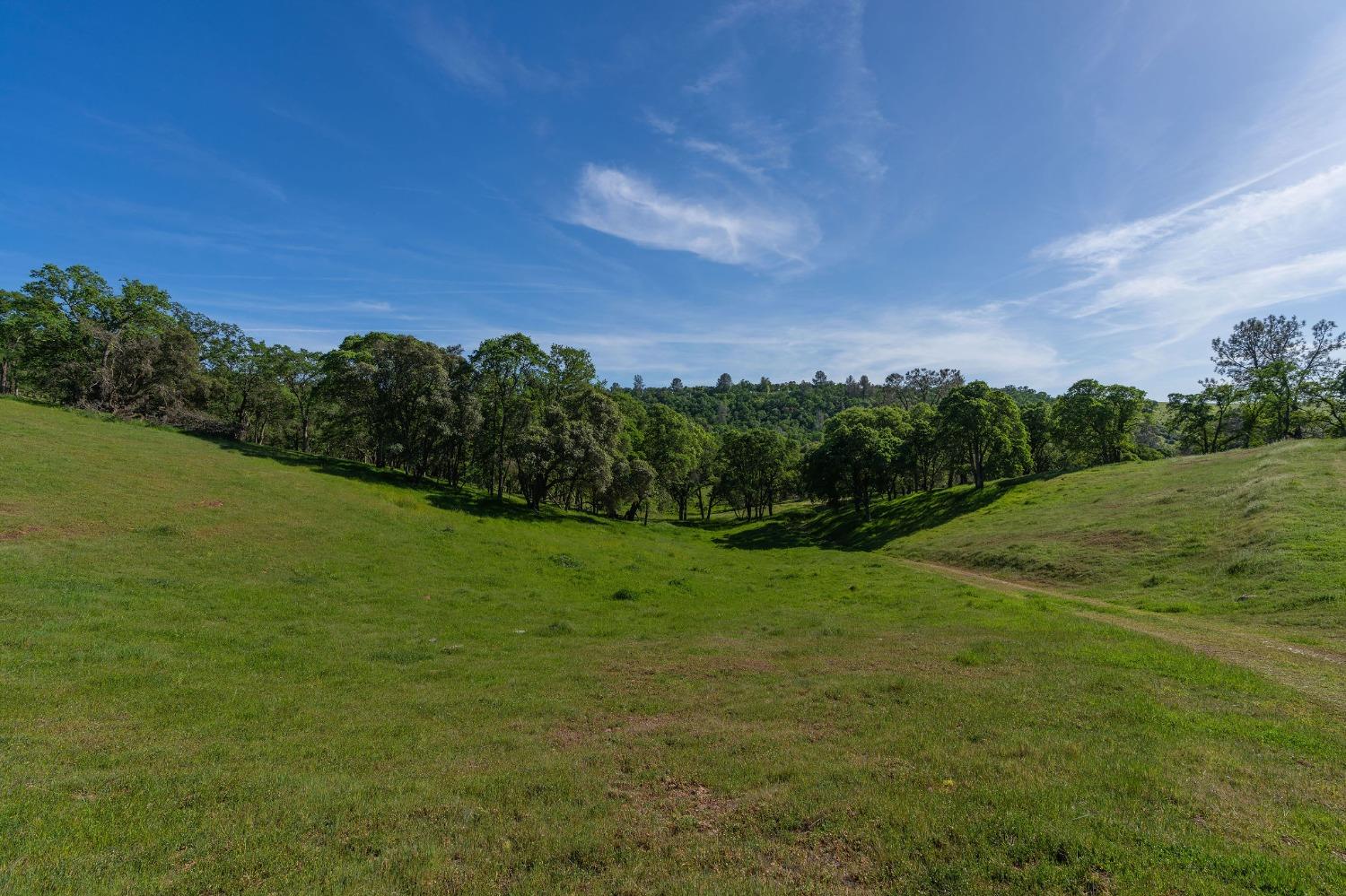 Sunset Drive, Sutter Creek, California image 1