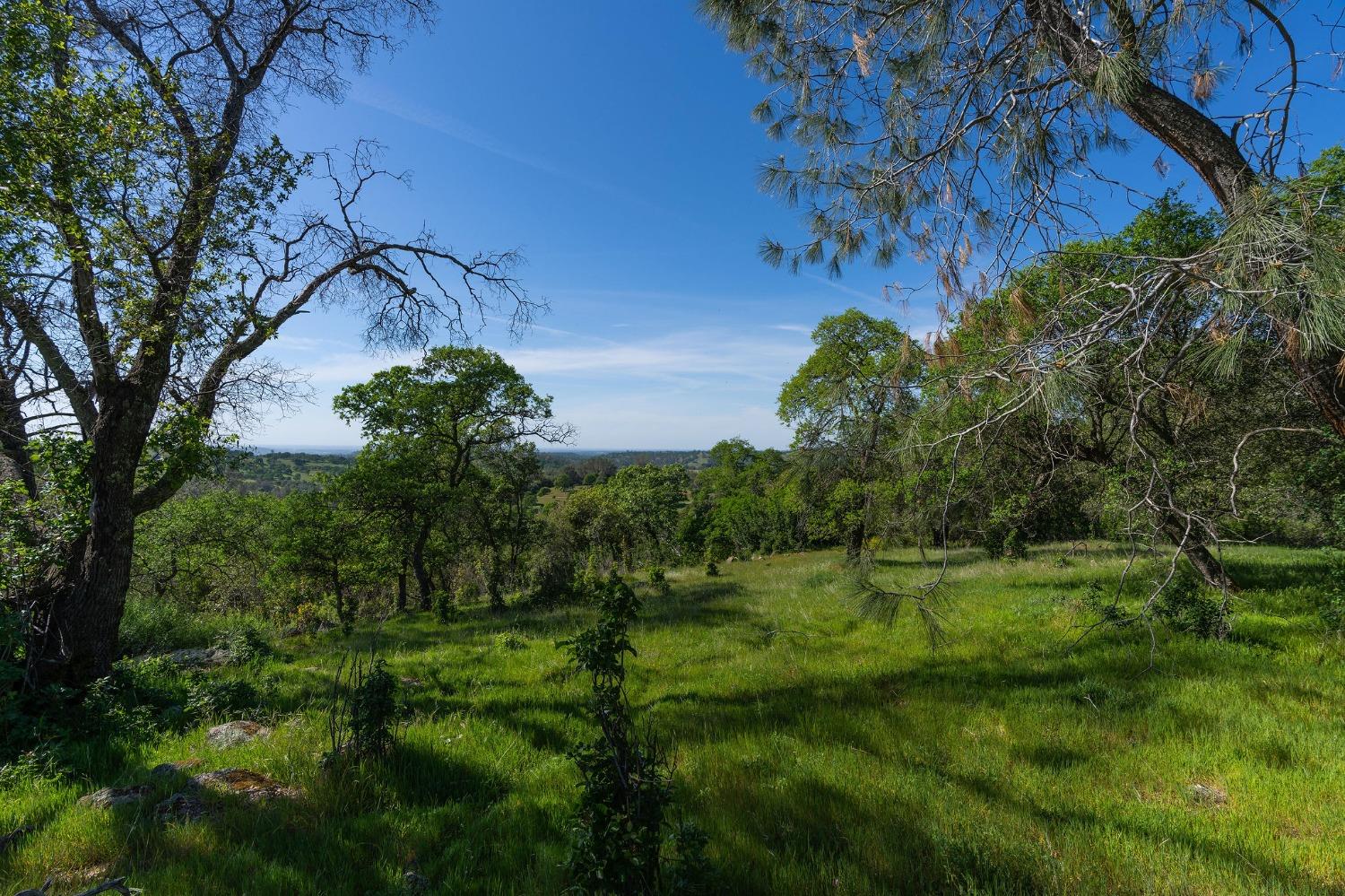 Sunset Drive, Sutter Creek, California image 3