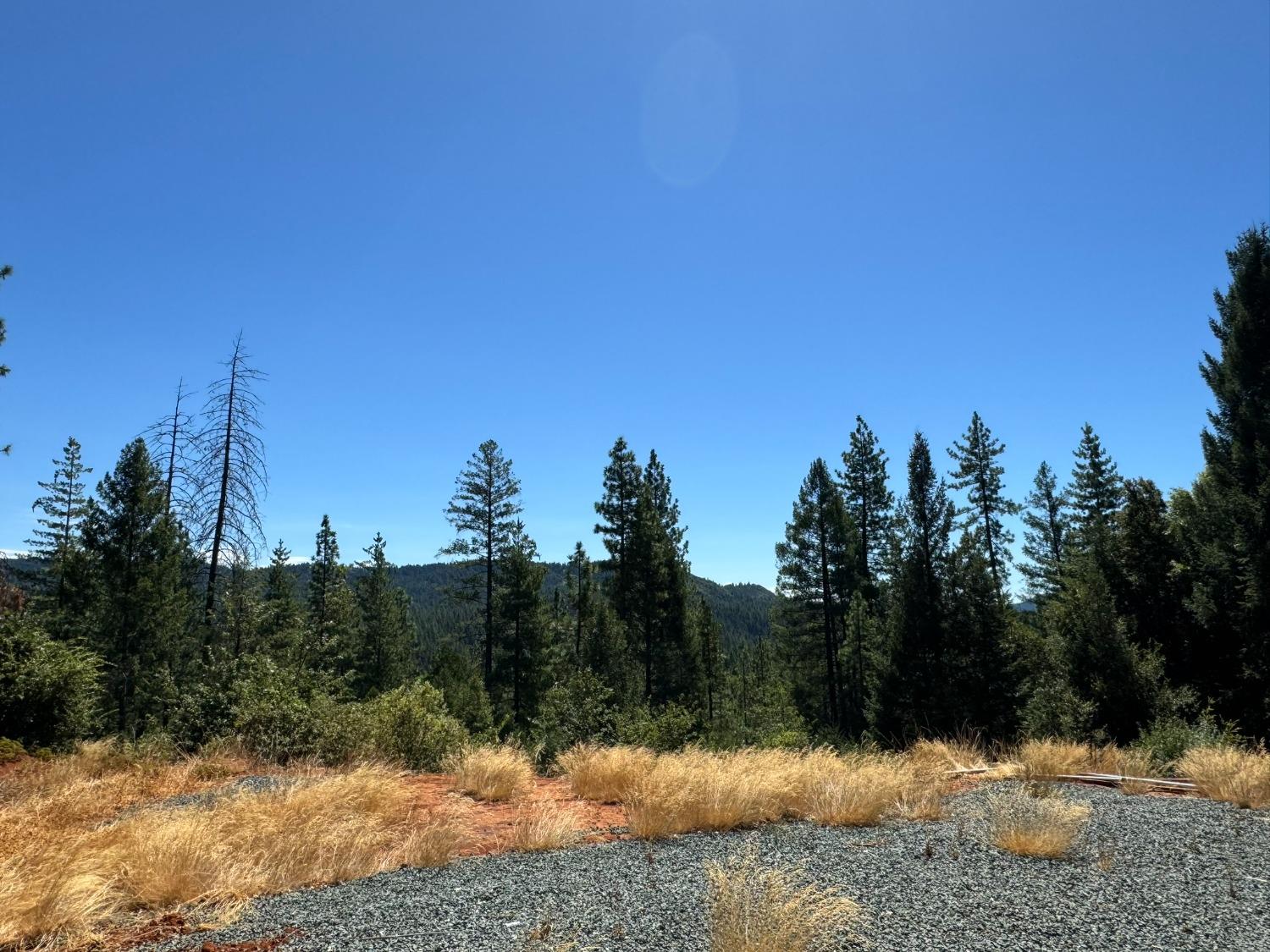 Detail Gallery Image 4 of 29 For 12225 Buckeye Rd, Nevada City,  CA 95959 - 2 Beds | 2 Baths