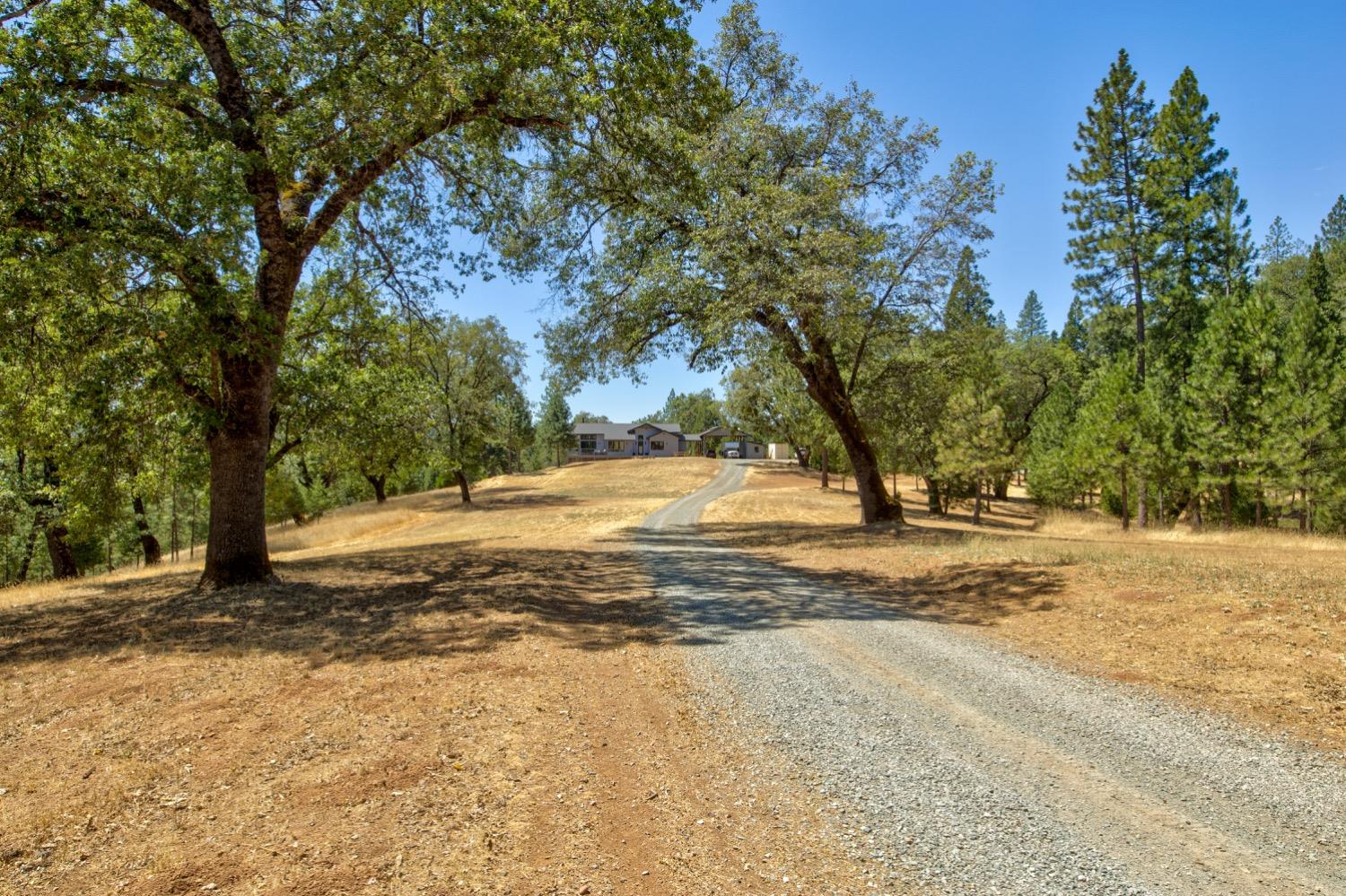 Detail Gallery Image 54 of 99 For 7401 Schaad Rd, Wilseyville,  CA 95257 - 2 Beds | 2 Baths