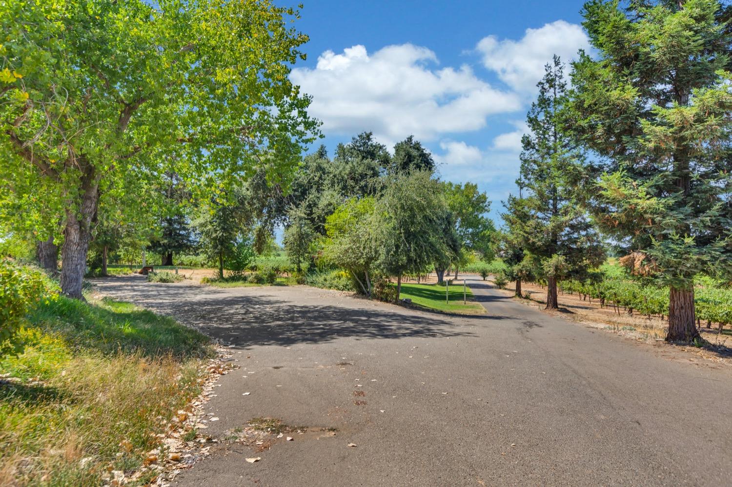 Detail Gallery Image 19 of 89 For 19268 Atkins Rd, Lodi,  CA 95240 - 1 Beds | 1/1 Baths