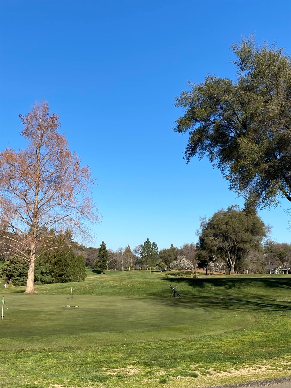 Detail Gallery Image 73 of 91 For 23895 Lakeview Ct, Auburn,  CA 95602 - 5 Beds | 3/1 Baths