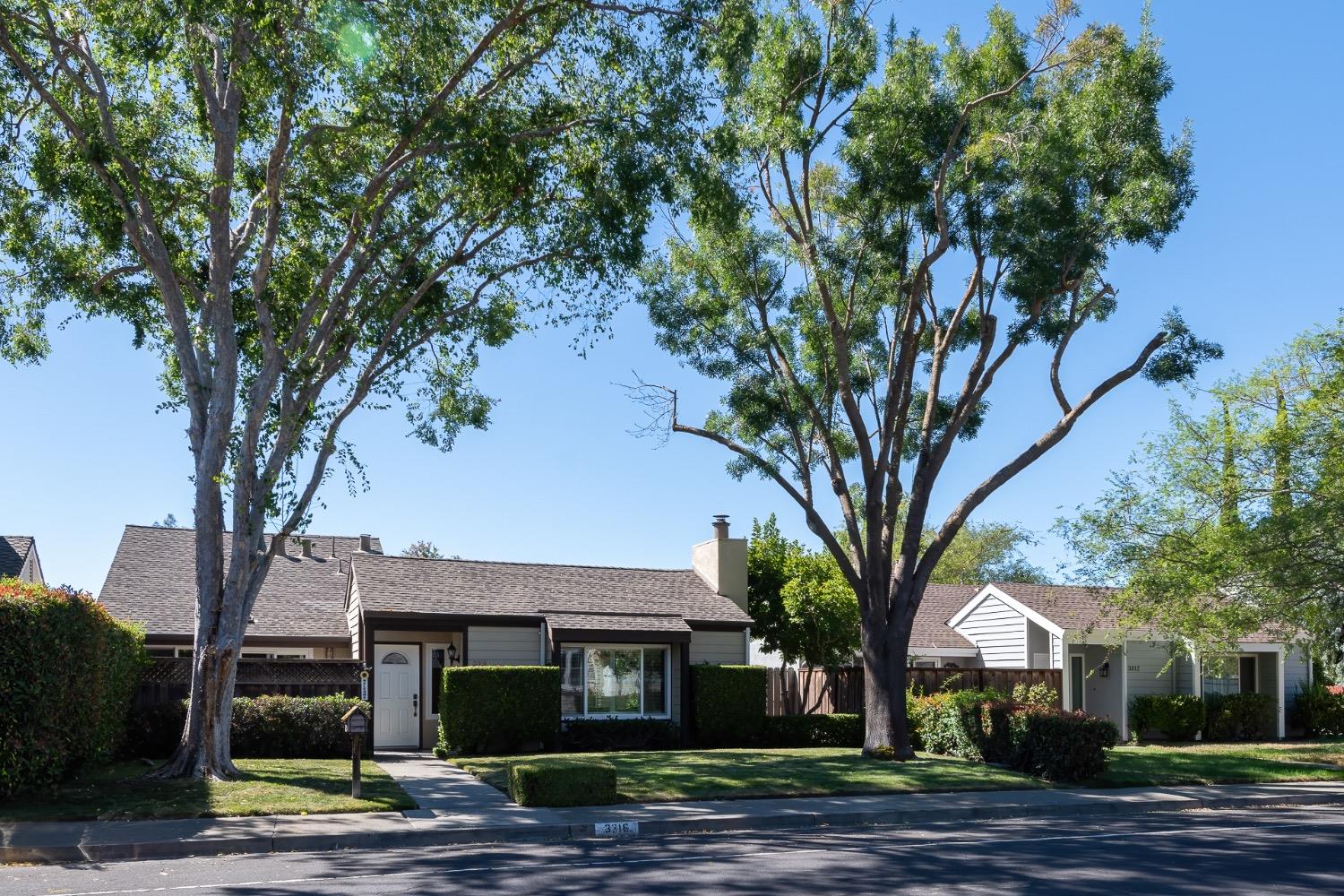 Montevideo Drive, San Ramon, California image 4