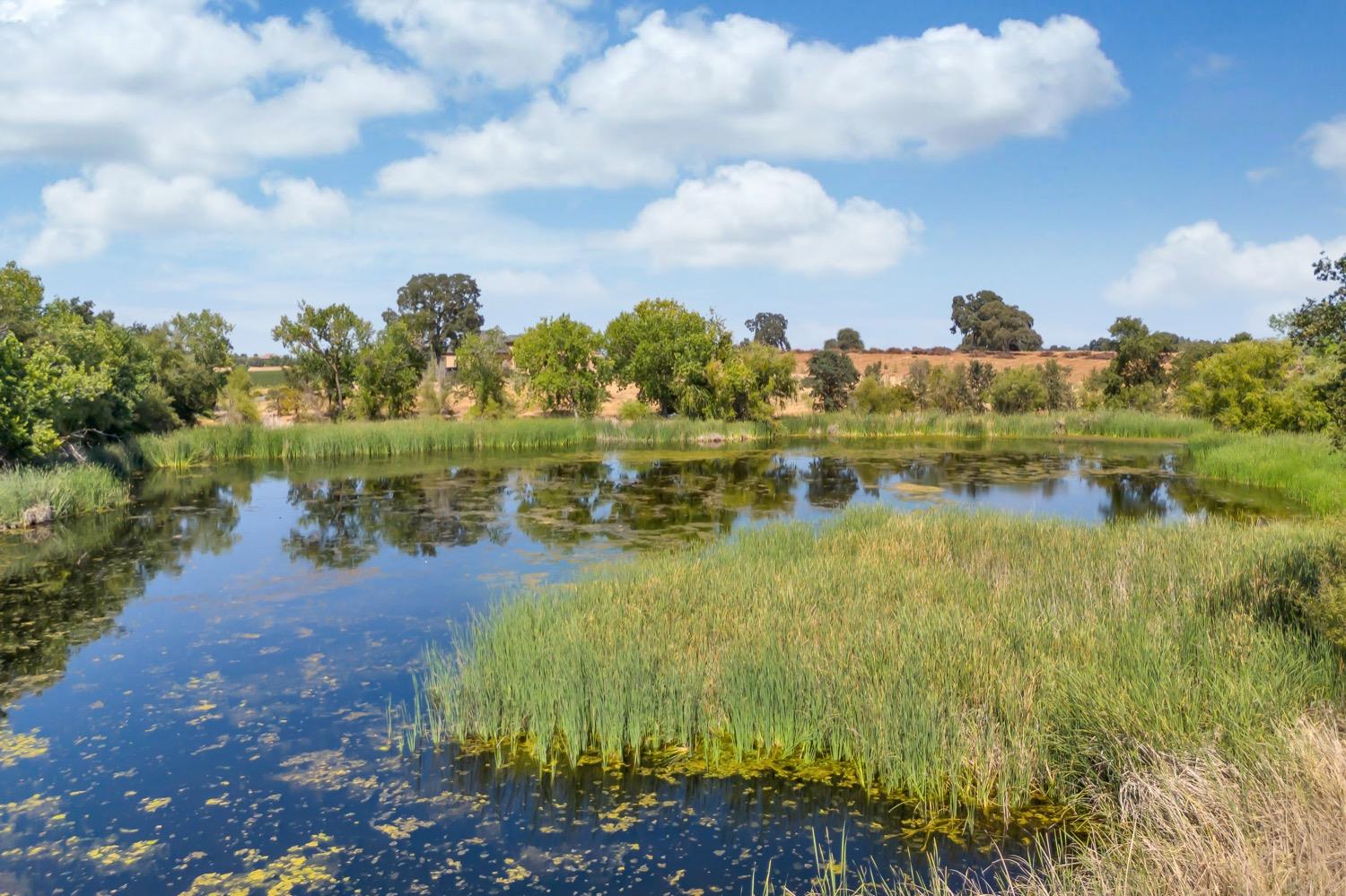 Detail Gallery Image 82 of 89 For 19268 Atkins Rd, Lodi,  CA 95240 - 1 Beds | 1/1 Baths