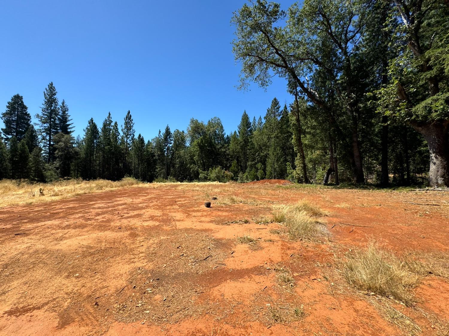 Detail Gallery Image 5 of 29 For 12225 Buckeye Rd, Nevada City,  CA 95959 - 2 Beds | 2 Baths