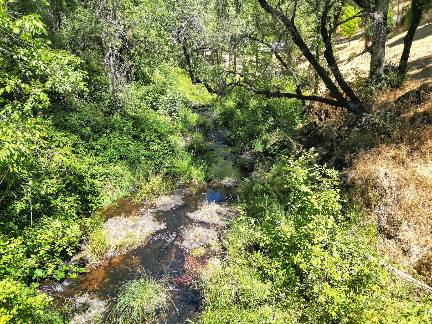 Detail Gallery Image 52 of 97 For 16967 Brewer Rd, Grass Valley,  CA 95949 - 3 Beds | 2/1 Baths