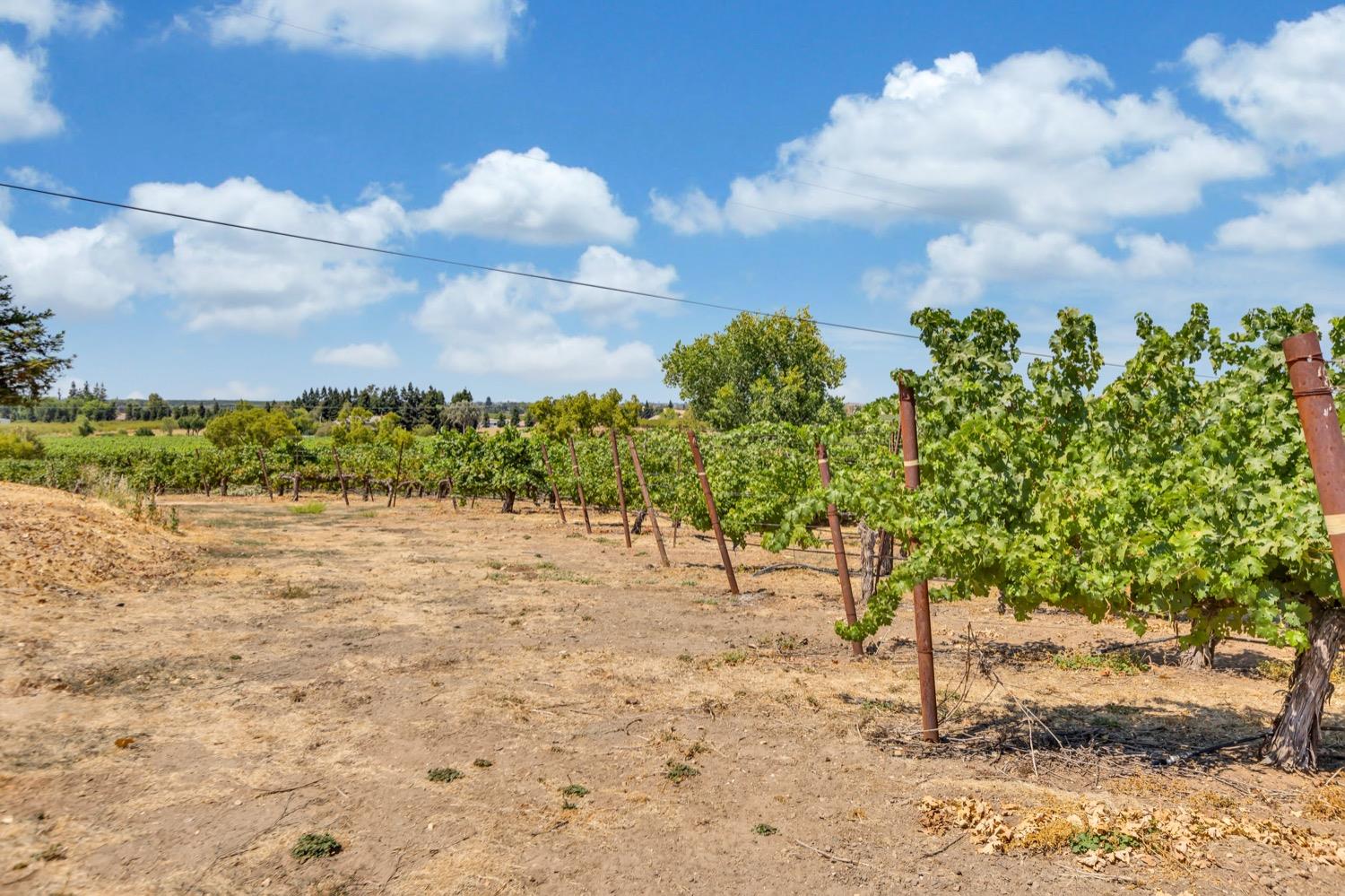 Detail Gallery Image 23 of 89 For 19268 Atkins Rd, Lodi,  CA 95240 - 1 Beds | 1/1 Baths