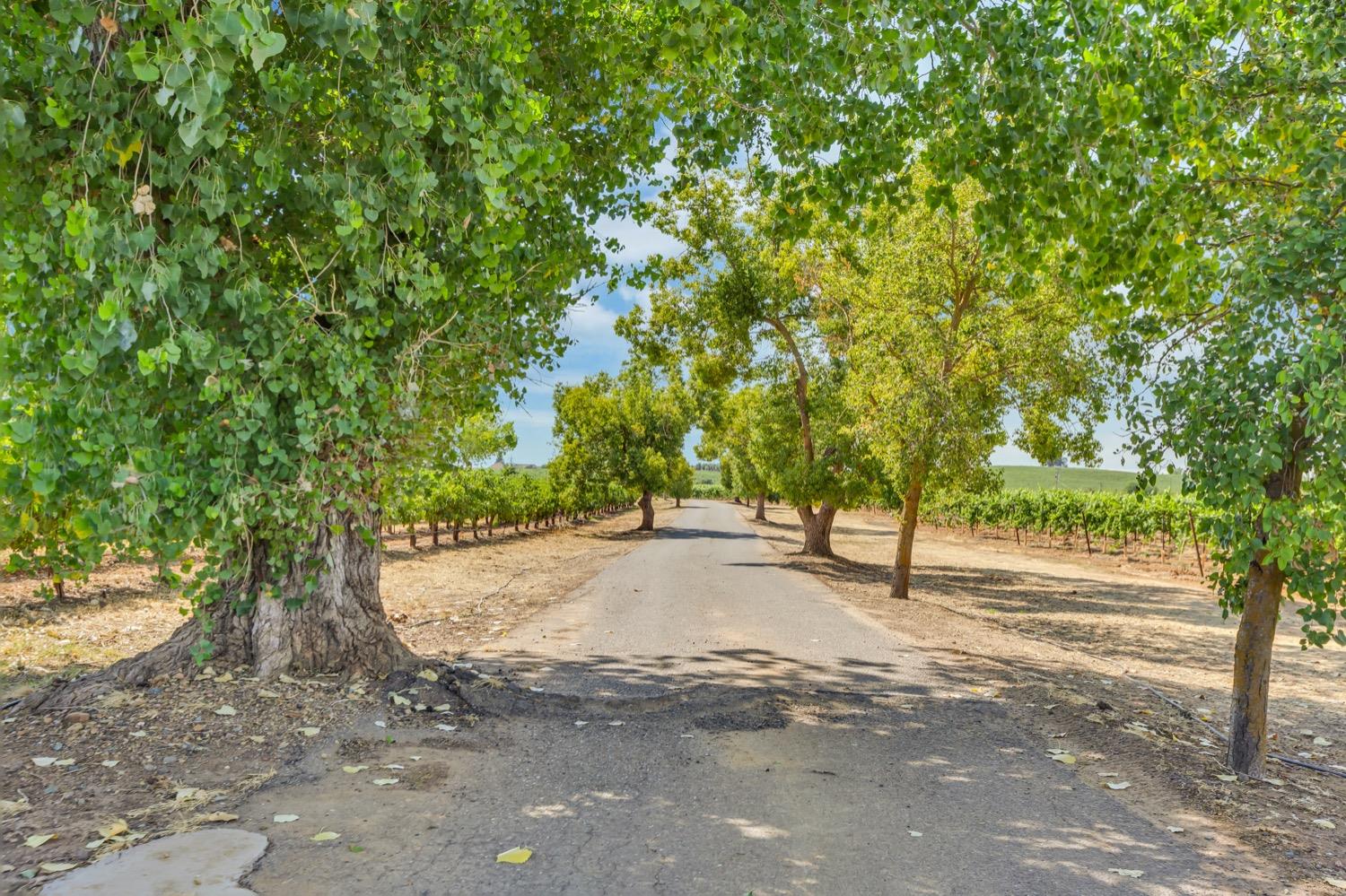 Detail Gallery Image 68 of 89 For 19268 Atkins Rd, Lodi,  CA 95240 - 1 Beds | 1/1 Baths