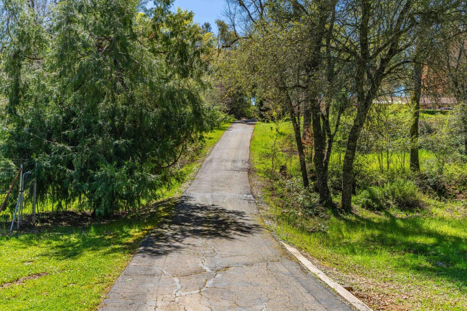 Climax Road, Jackson, California image 9