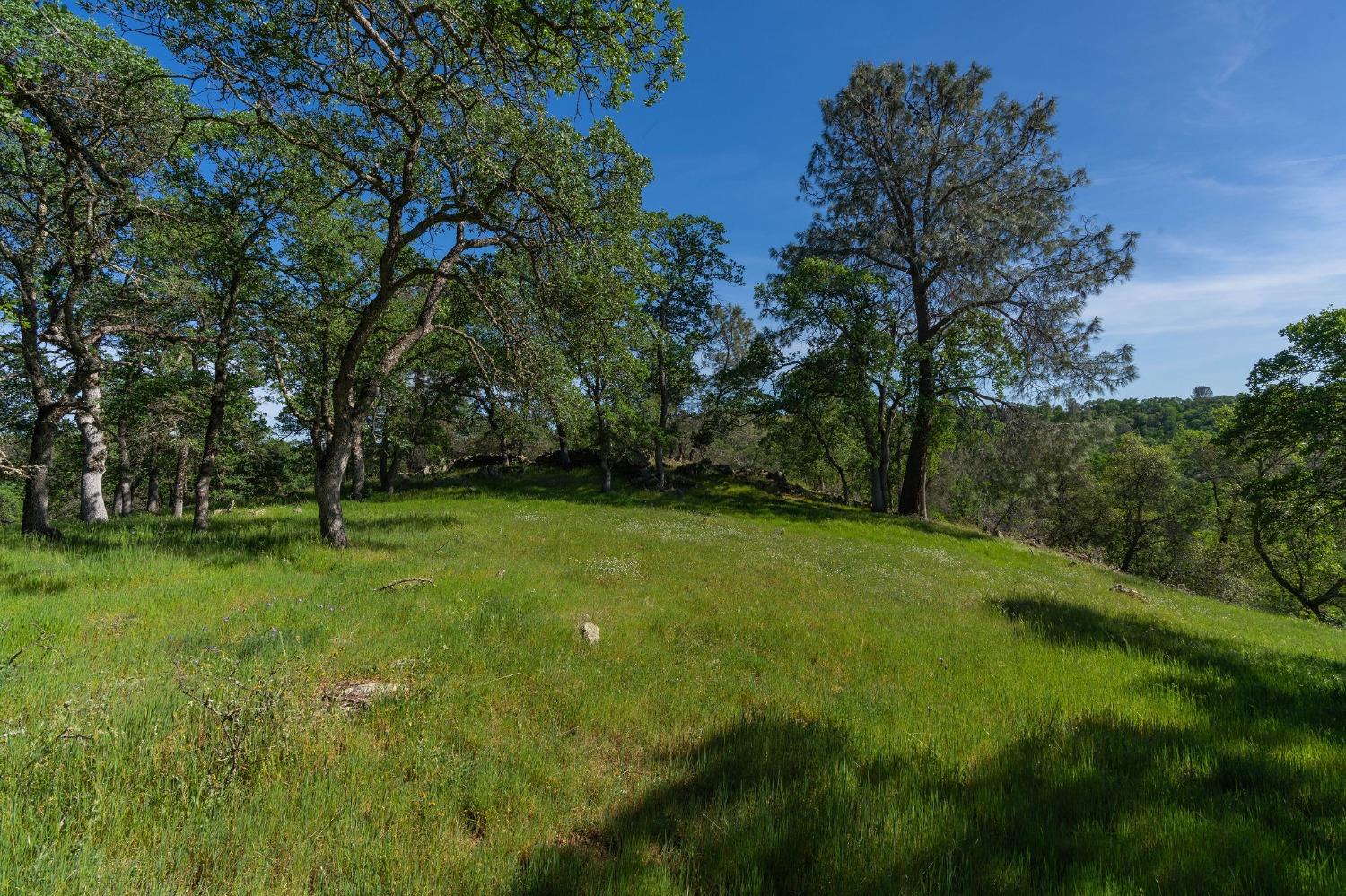 Detail Gallery Image 16 of 27 For 10865 Sunset Dr, Sutter Creek,  CA 95685 - – Beds | – Baths