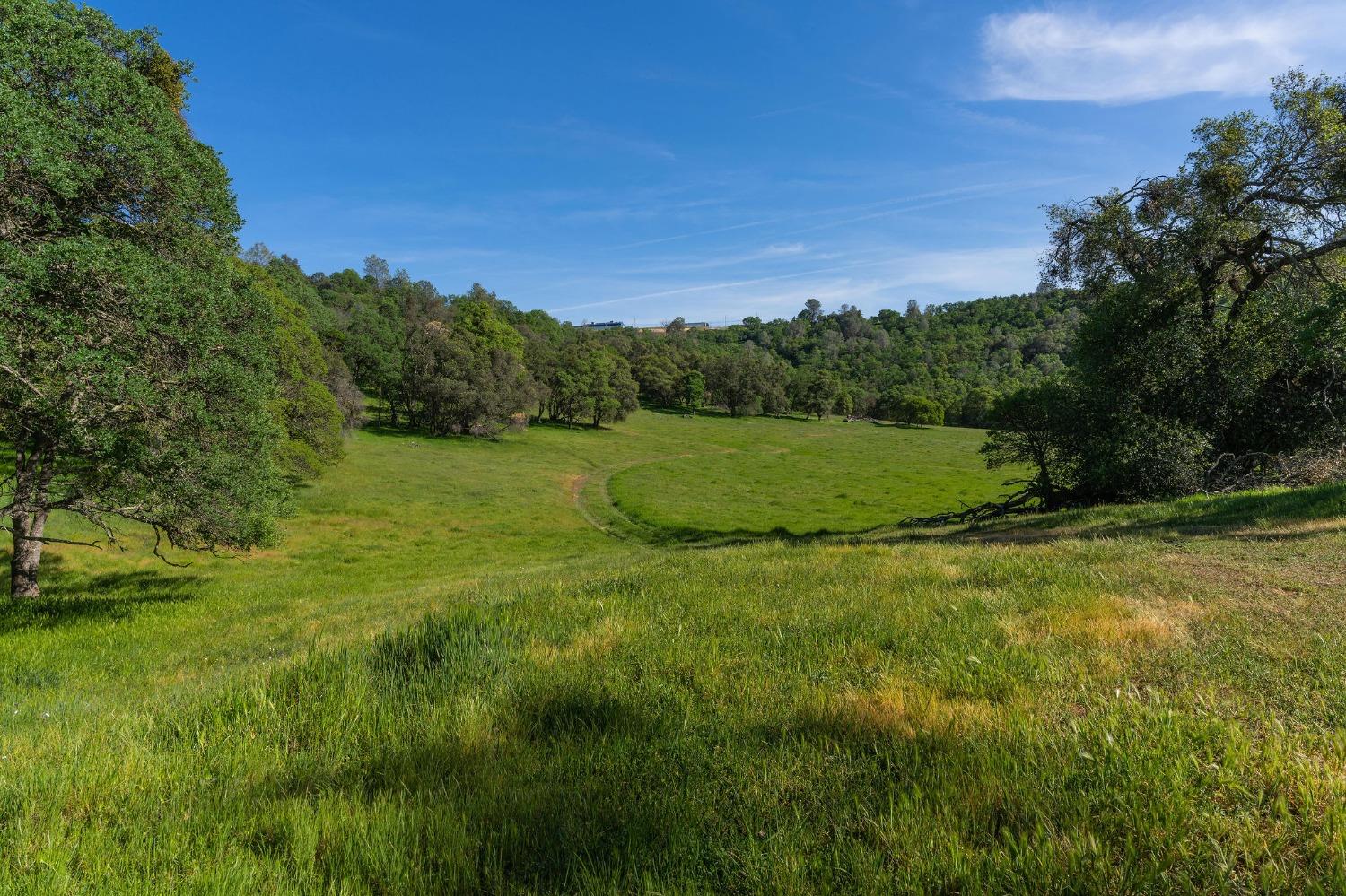 Sunset Drive, Sutter Creek, California image 2