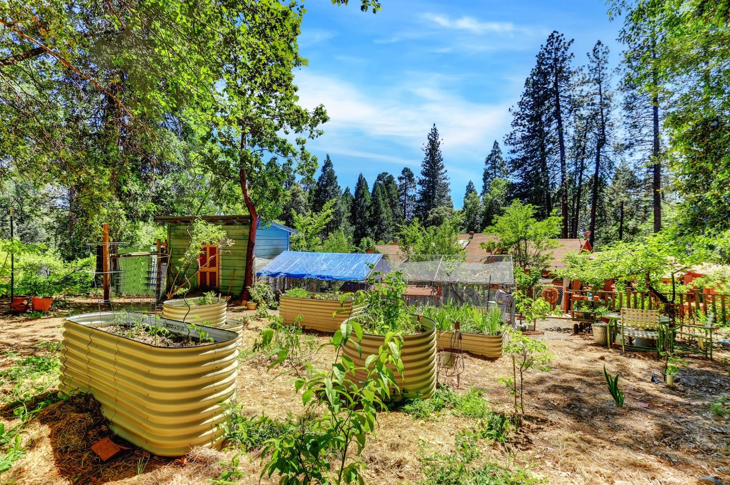 Detail Gallery Image 85 of 94 For 11192 Silver Willow Ln, Nevada City,  CA 95959 - 2 Beds | 2/1 Baths