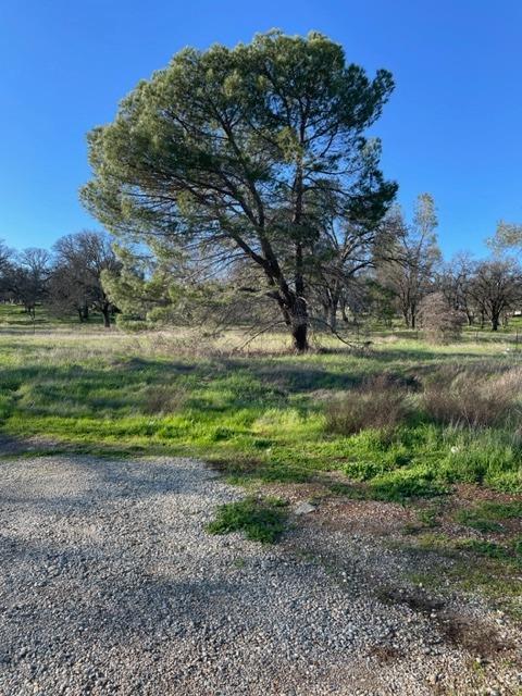 Marysville Road, Browns Valley, California image 9