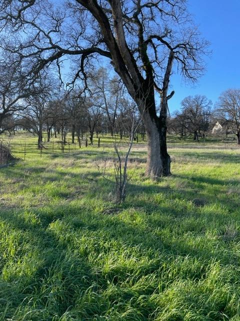 Marysville Road, Browns Valley, California image 7