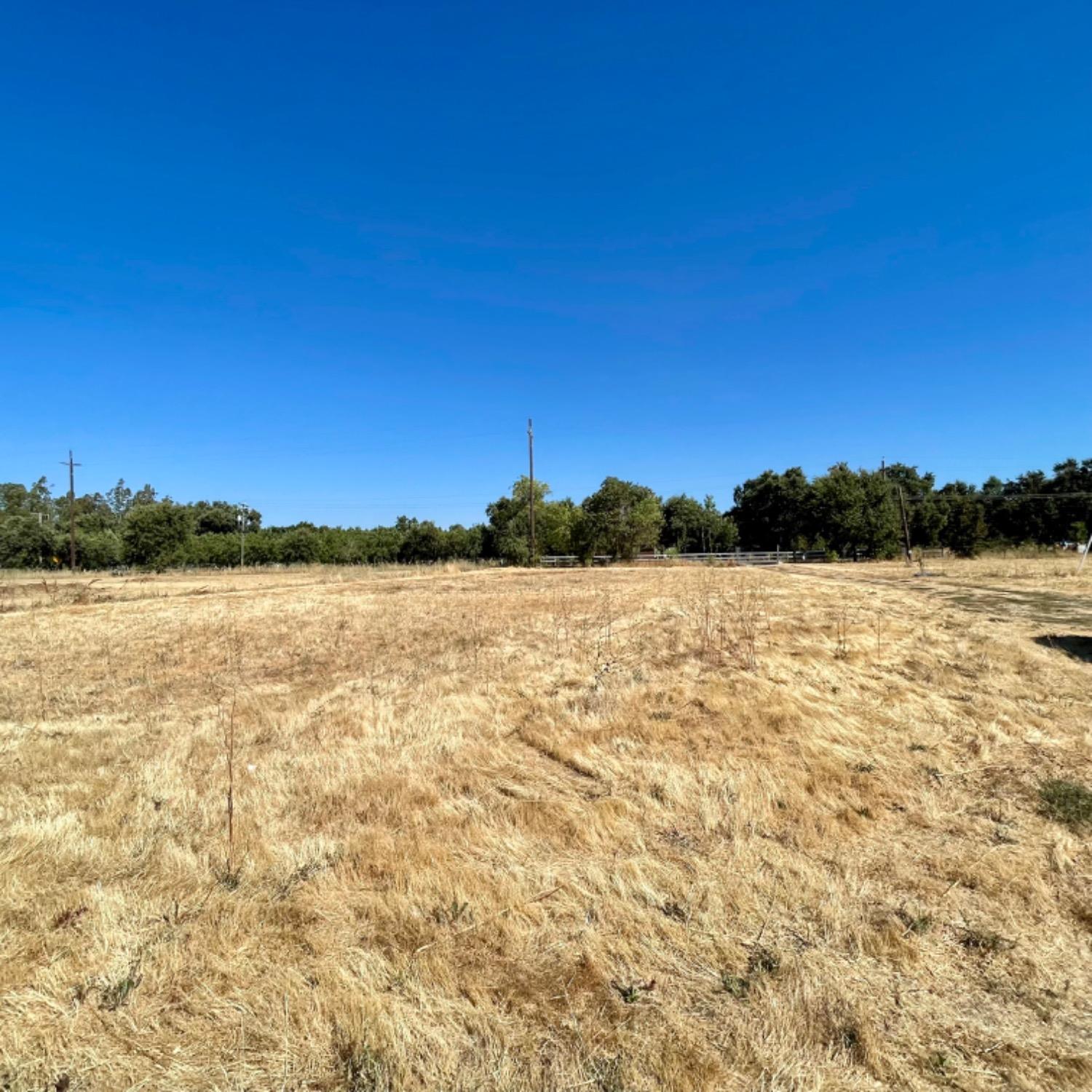 Dakota Avenue, Biggs, California image 12