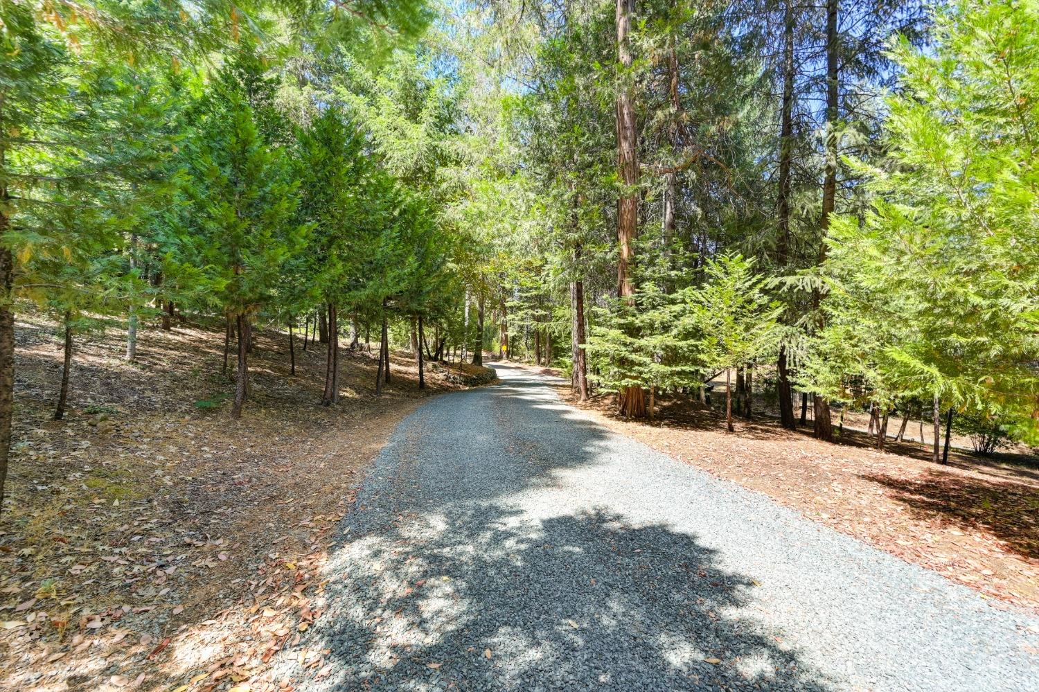 Detail Gallery Image 46 of 91 For 17377 Broken Arrow Pl, Nevada City,  CA 95959 - 4 Beds | 2 Baths