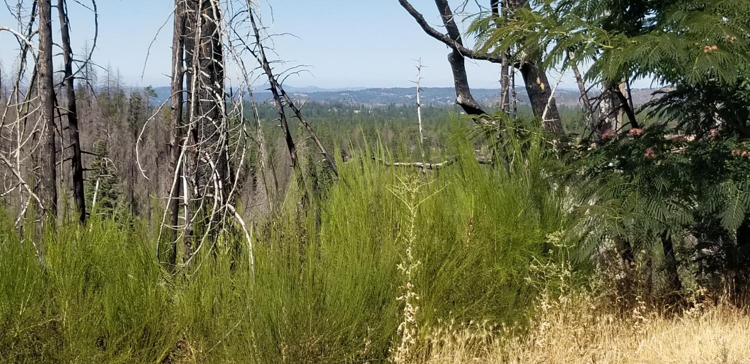 String Canyon Road, Somerset, California image 8