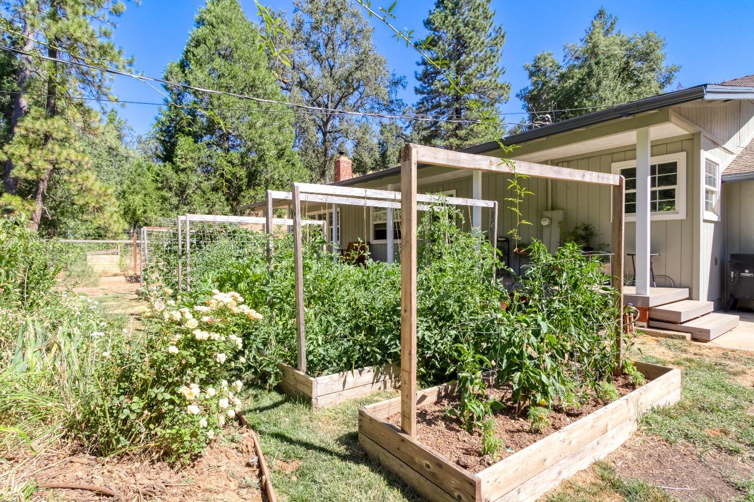 Detail Gallery Image 55 of 60 For 7220 Sly Park Rd, Placerville,  CA 95667 - 3 Beds | 2/1 Baths