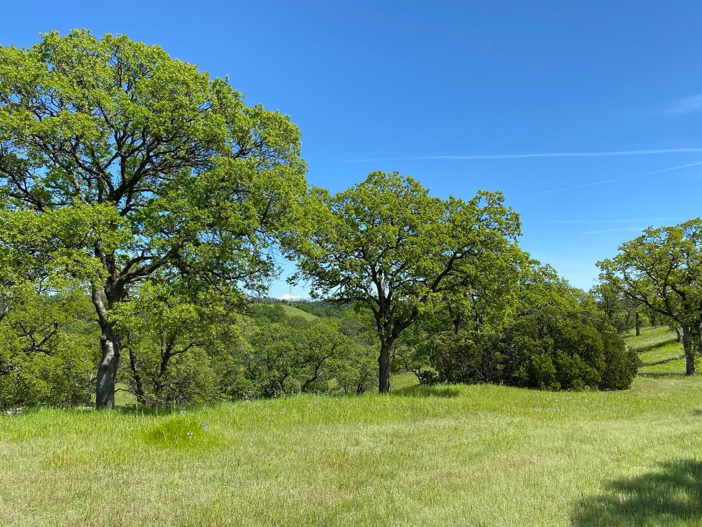 Acres Happy Valley Trail, Cottonwood, California image 8