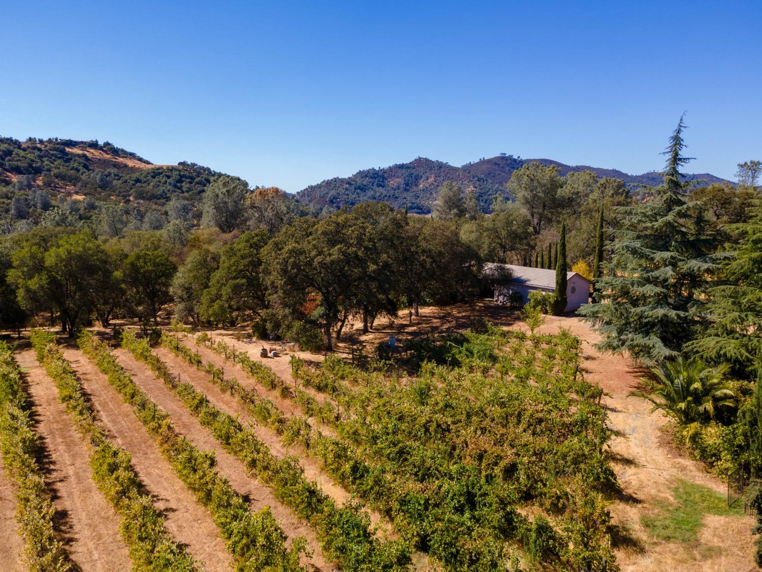 Detail Gallery Image 31 of 64 For 1000 Aqua Haven Ct, El Dorado Hills,  CA 95762 - 4 Beds | 4/2 Baths