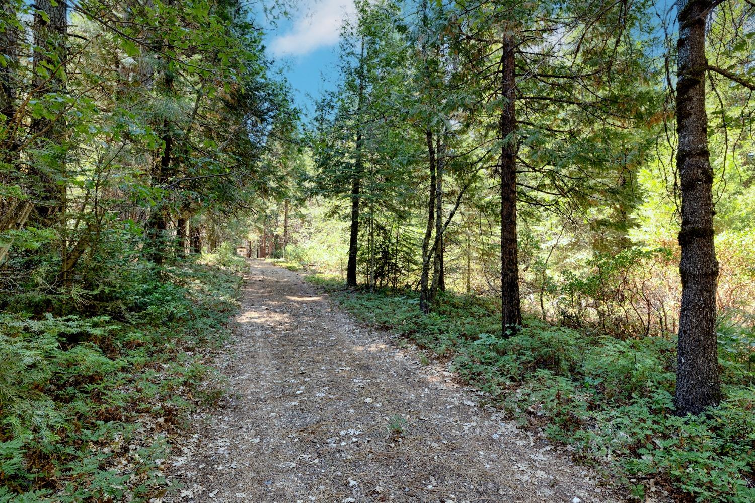 Detail Gallery Image 2 of 16 For 18599 Cruzon Grade Rd, Nevada City,  CA 95959 - – Beds | – Baths