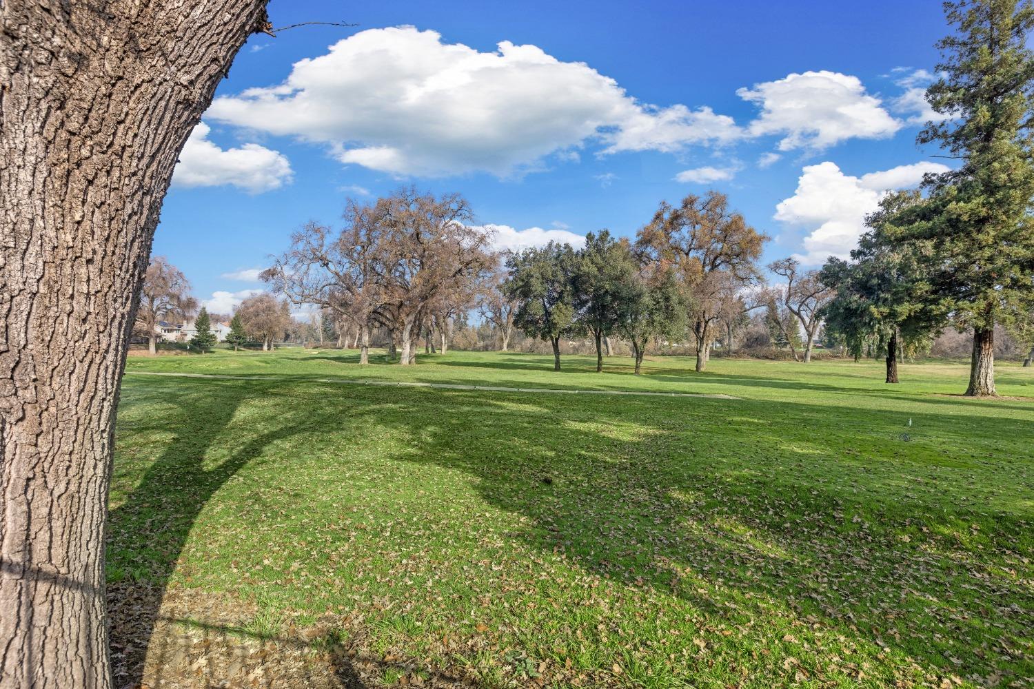 Detail Gallery Image 51 of 75 For 681 Cypress Run, Woodbridge,  CA 95258 - 4 Beds | 3 Baths