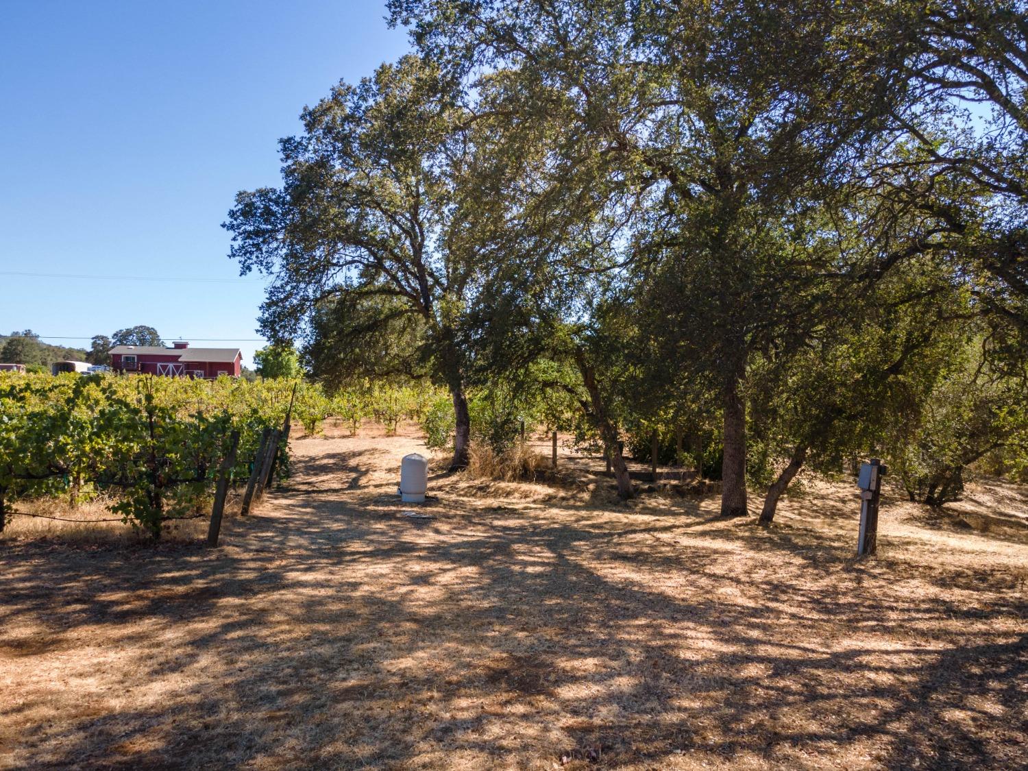 Detail Gallery Image 42 of 64 For 1000 Aqua Haven Ct, El Dorado Hills,  CA 95762 - 4 Beds | 4/2 Baths