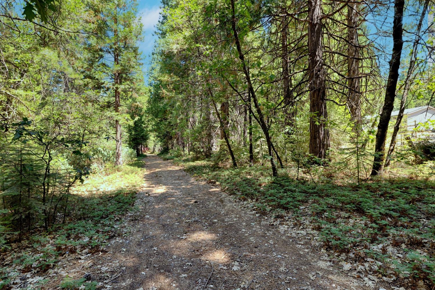 Detail Gallery Image 5 of 16 For 18599 Cruzon Grade Rd, Nevada City,  CA 95959 - – Beds | – Baths