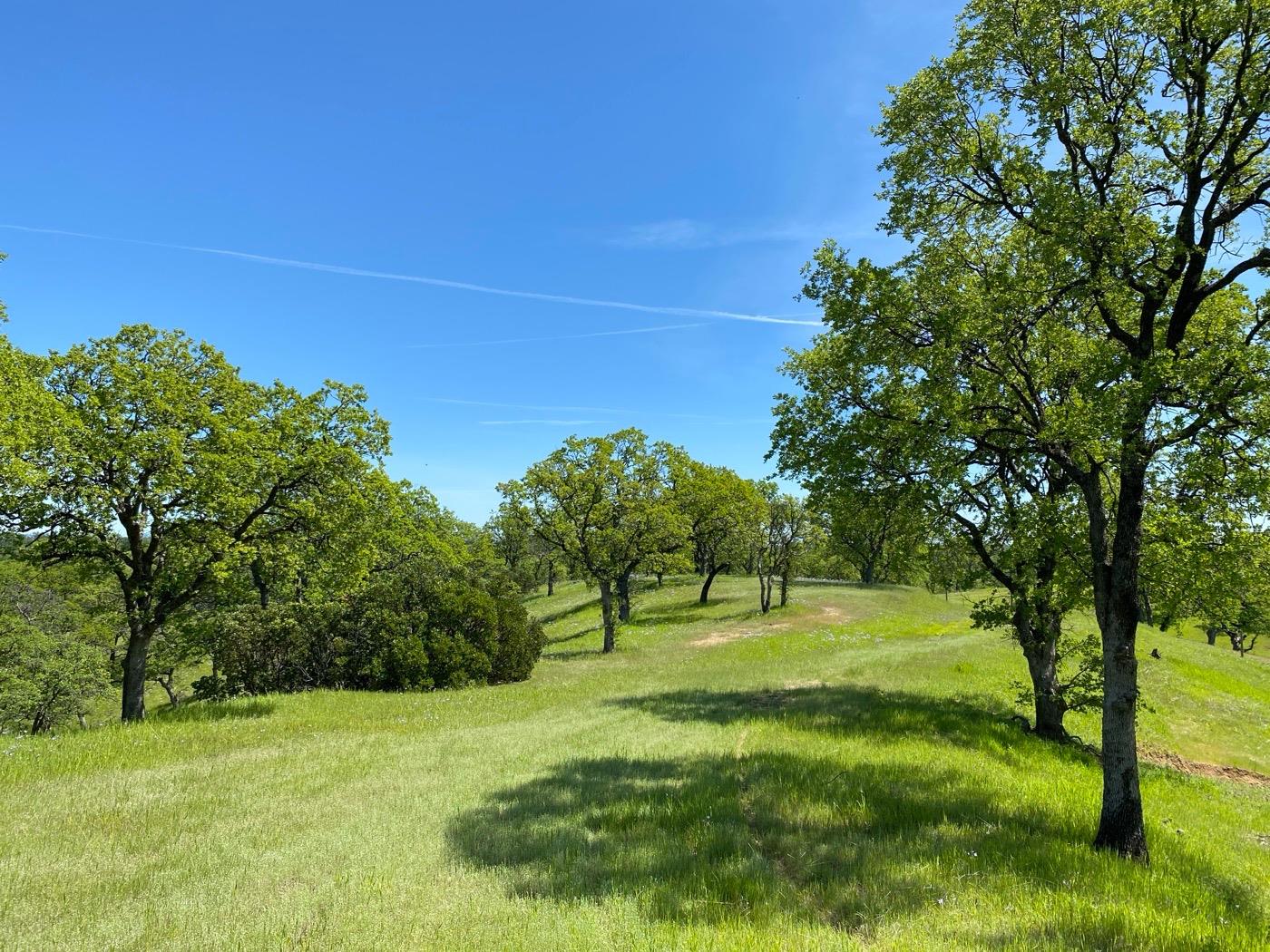 Acres Happy Valley Trail, Cottonwood, California image 1