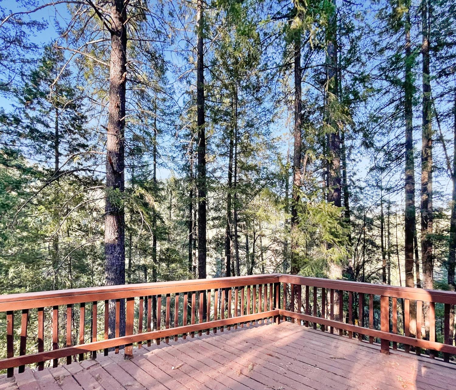 Detail Gallery Image 8 of 21 For 13393 Placer Ln, Nevada City,  CA 95959 - 2 Beds | 1/1 Baths