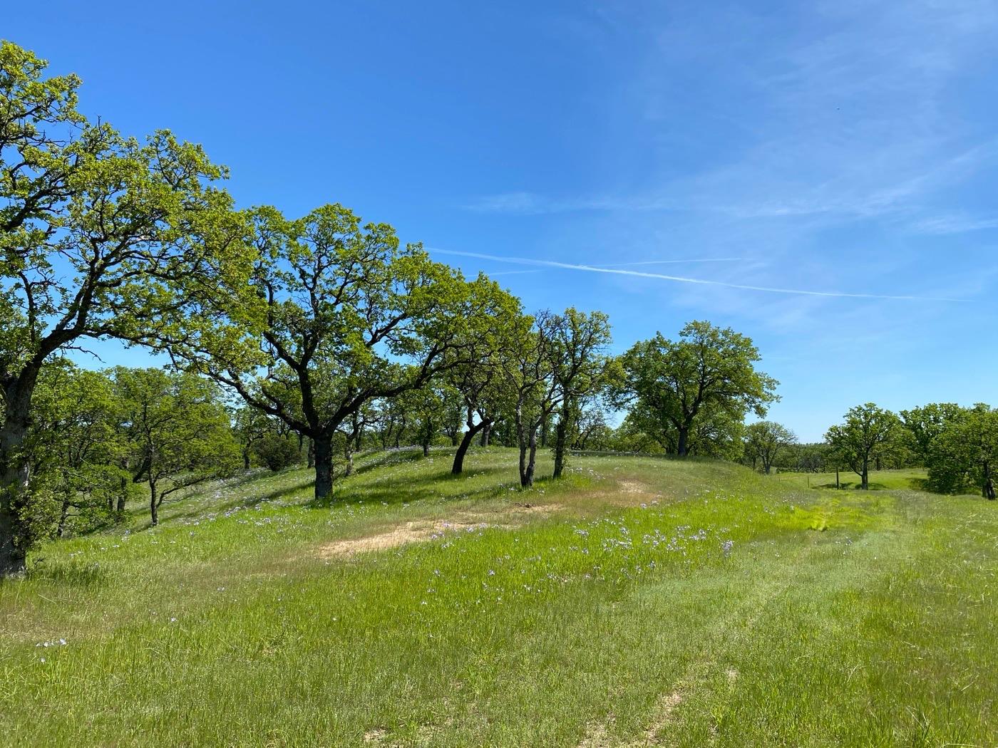 Acres Happy Valley Trail, Cottonwood, California image 7